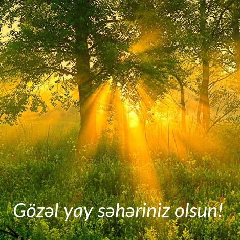 Gözəl yay səhəriniz olsun!
