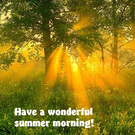 Have a wonderful summer morning!