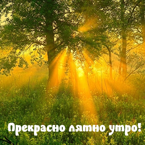 Прекрасно лятно утро!