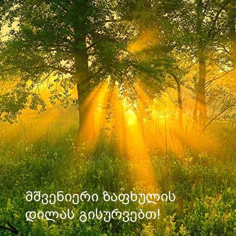 მშვენიერი ზაფხულის დილას გისურვებთ!