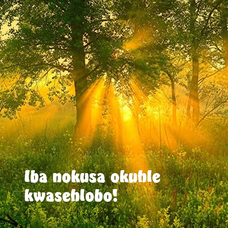 Iba nokusa okuhle kwasehlobo!