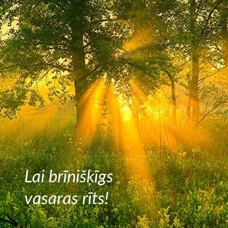 Lai brīnišķīgs vasaras rīts!