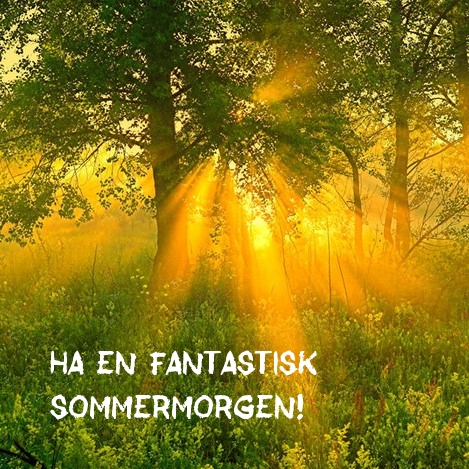 Ha en fantastisk sommermorgen!