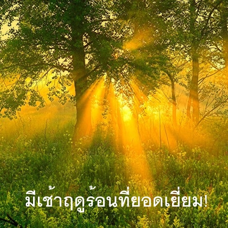 มีเช้าฤดูร้อนที่ยอดเยี่ยม!