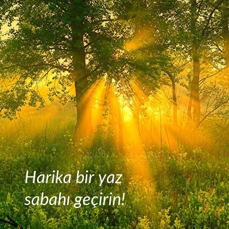 Harika bir yaz sabahı geçirin!
