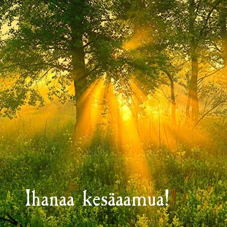 Ihanaa kesäaamua!