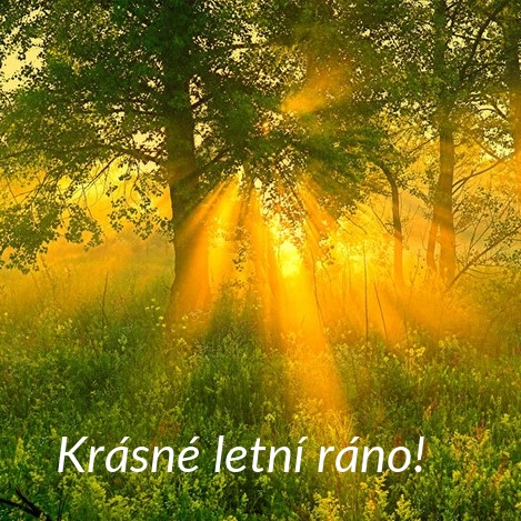 Krásné letní ráno!