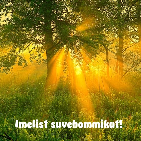 Imelist suvehommikut!