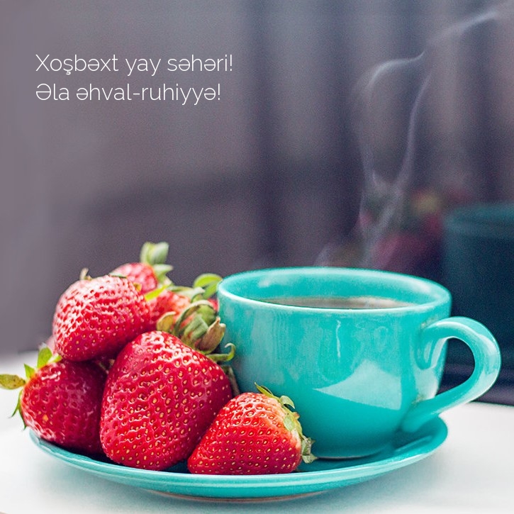 Xoşbəxt yay səhəri! Əla əhval-ruhiyyə!