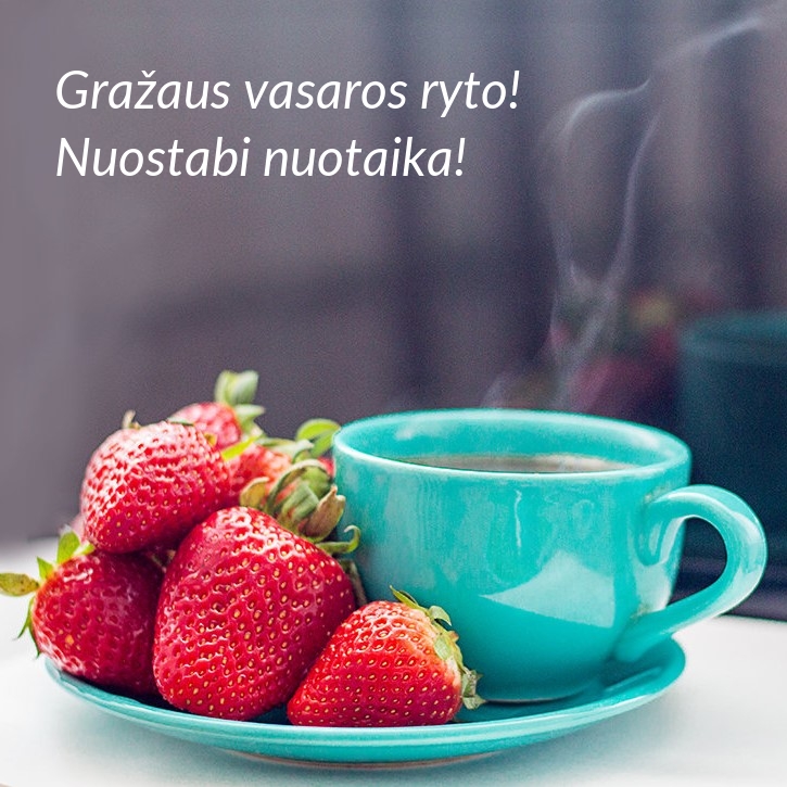 Gražaus vasaros ryto! Nuostabi nuotaika!