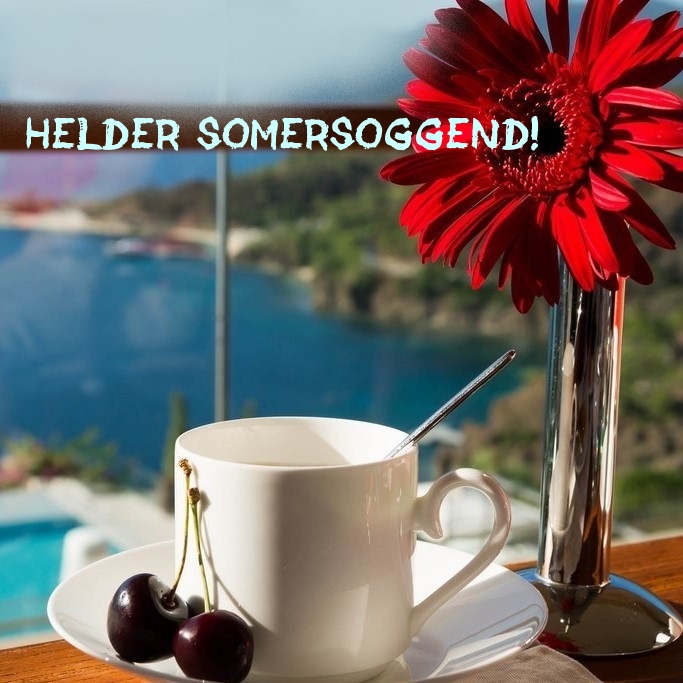 Helder somersoggend!