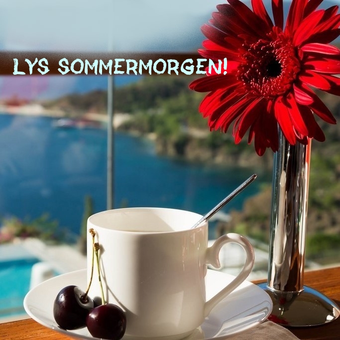 Lys sommermorgen!