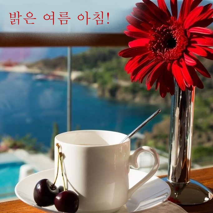 밝은 여름 아침!
