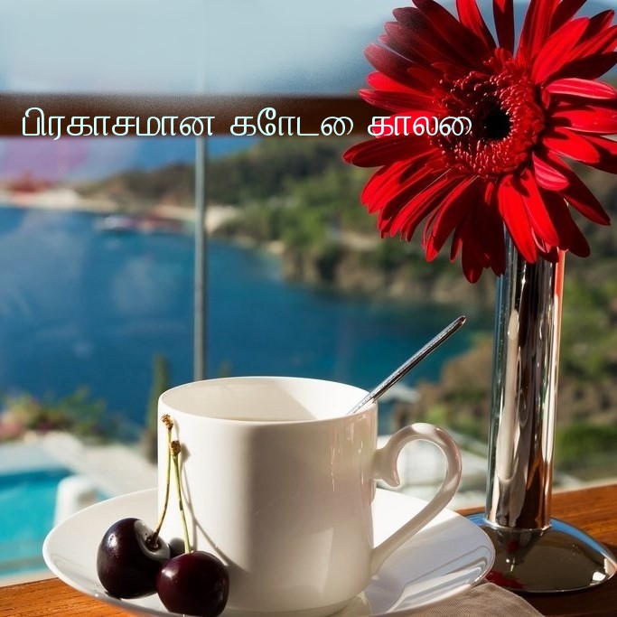 பிரகாசமான கோடை காலை!