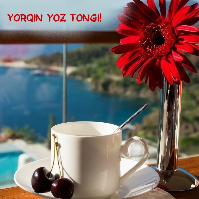 Yorqin yoz tongi!