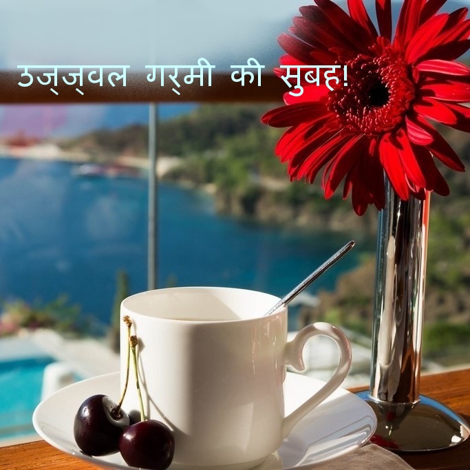 उज्ज्वल गर्मी की सुबह!