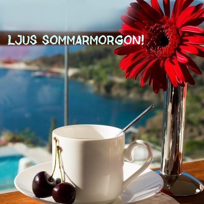 Ljus sommarmorgon!