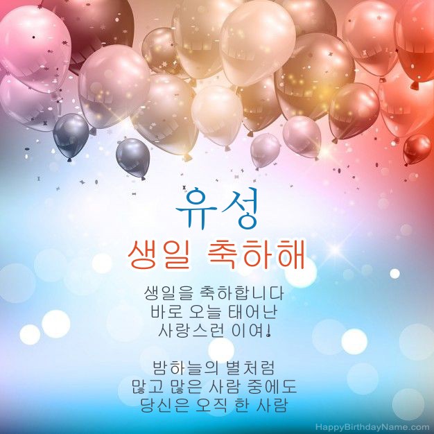 유성의 생일에시