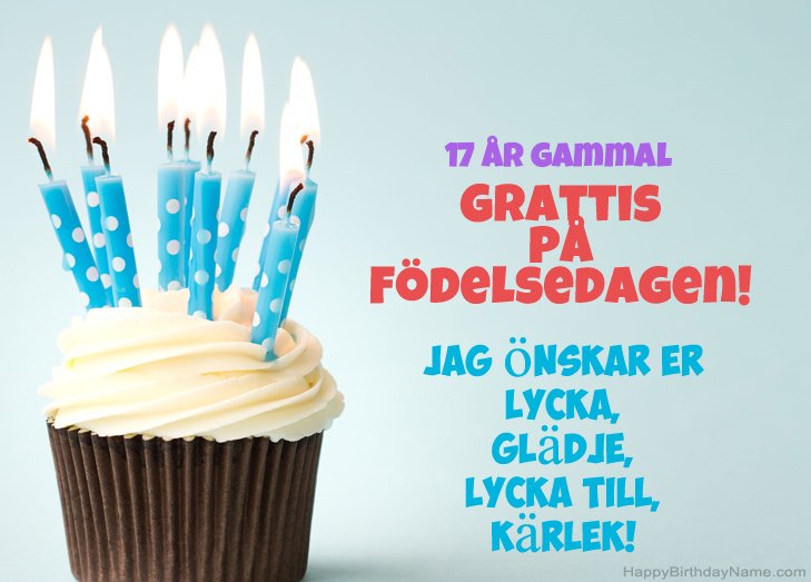 Grattis till Grattis på födelsedagen 17 år gammal kille