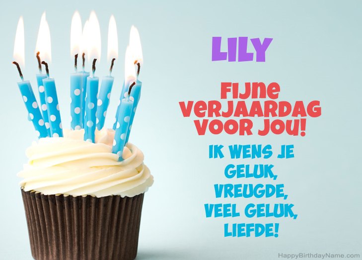 Gefeliciteerd met Fijne verjaardag van Lily