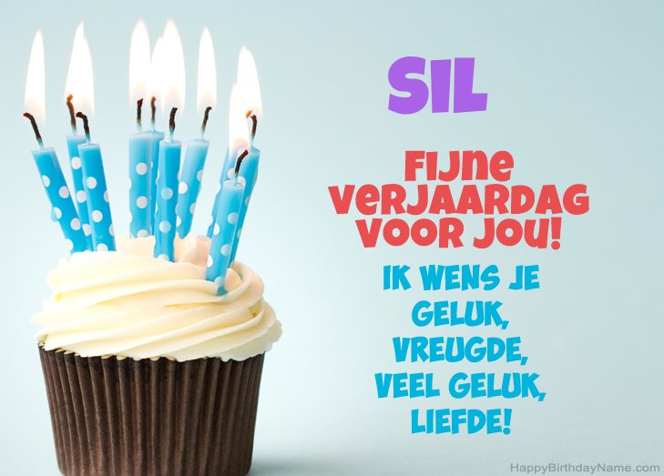 Gefeliciteerd met Fijne verjaardag van Sil